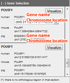 Gene Information Panel