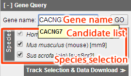 Gene Lookup Panel