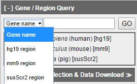 Region query
